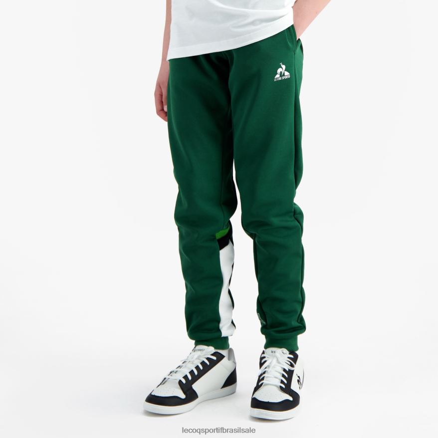 Le Coq Sportif roupas calças verdes crianças 84V684406