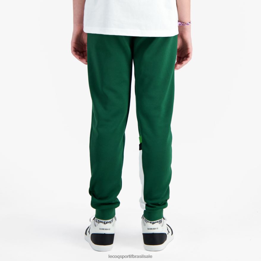 Le Coq Sportif roupas calças verdes crianças 84V684406